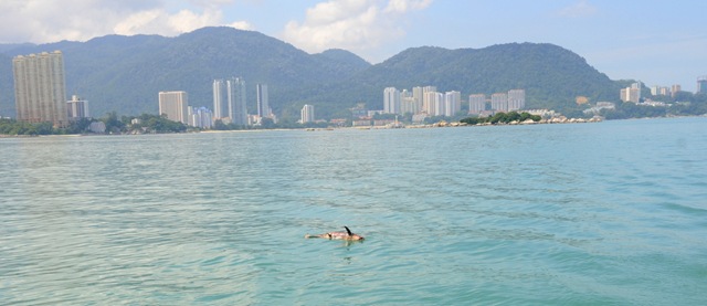 Penang - Dauphin mort - Malaisie ONE_4230