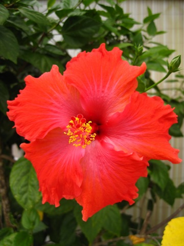 IMG_0500 IMG_0500