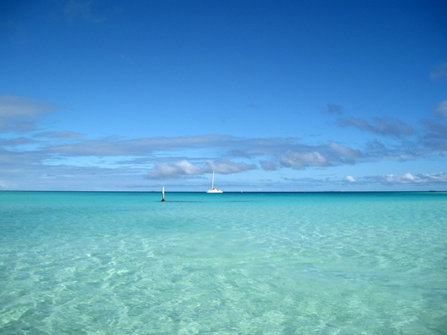 alone in paradise alone in paradise