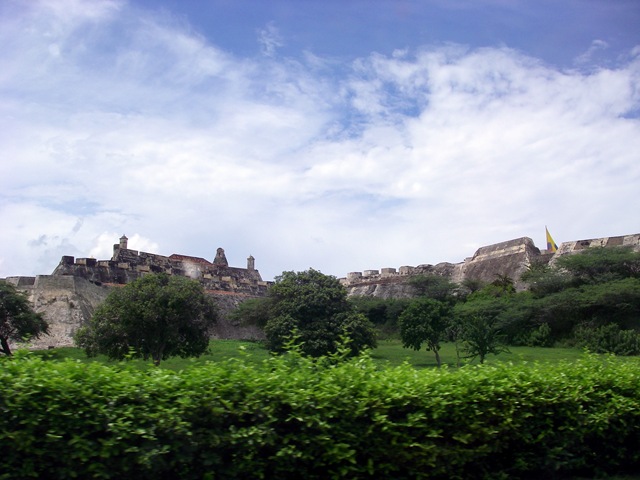 IMGP1031