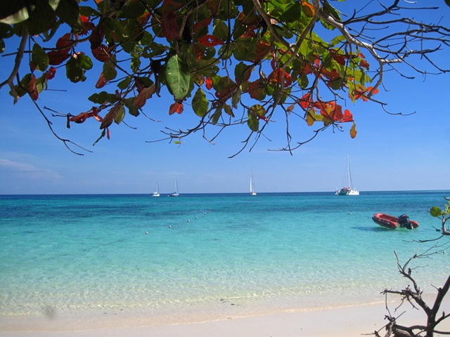 Koh Rok Nai - Thailande IMG_9735