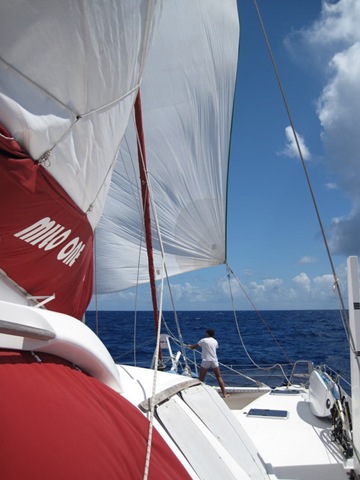 IMG_4605 IMG_4605
