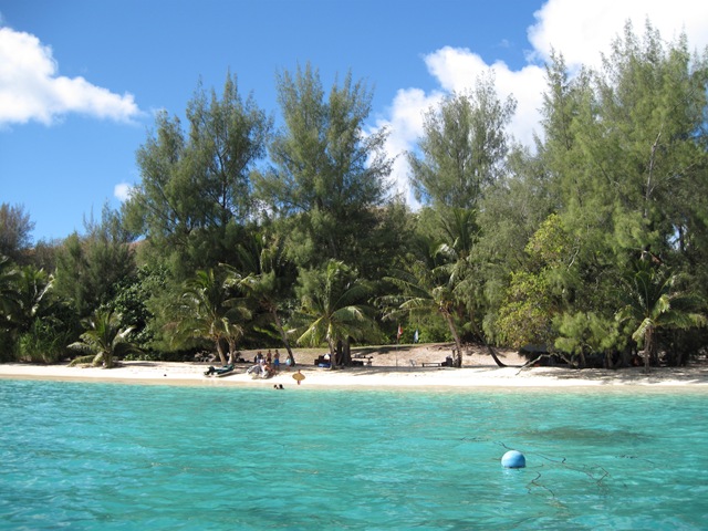 The plage! The plage!