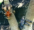 crabe5-300x267 crabe5-300x267
