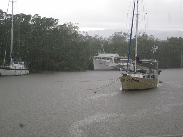 dans la mangrove de cairns IMG_4765