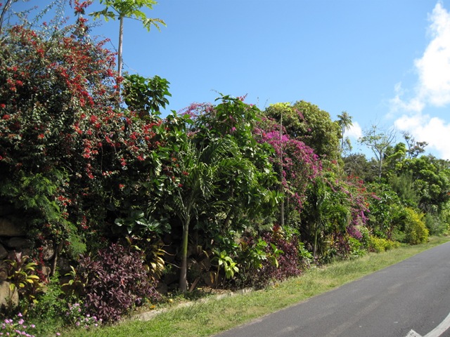 IMG_8240 IMG_8240