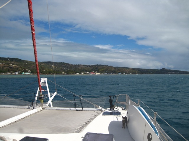 IMG_1269 IMG_1269