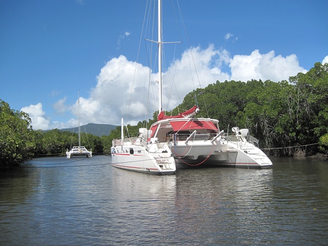 Milo one dans sa mangrove IMG_4749