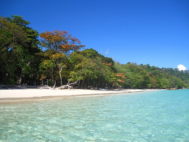 Koh Rok Nai - Thailande IMG_9739