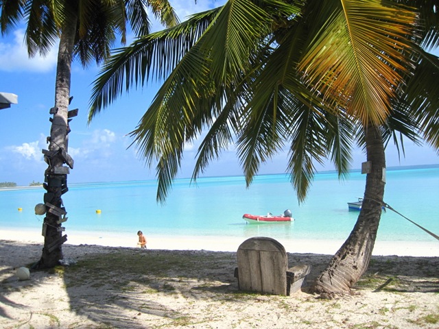 Iles Cocos Keeling Milo one IMG_1183