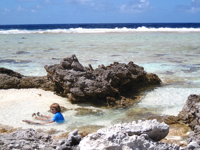 piscine naturelle piscine naturelle