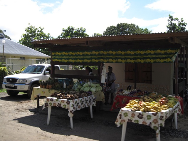 IMG_8230 IMG_8230