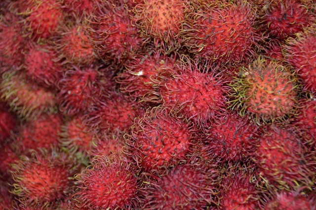 Port Dixon Strait of Malacca Malaisie ONE_1405