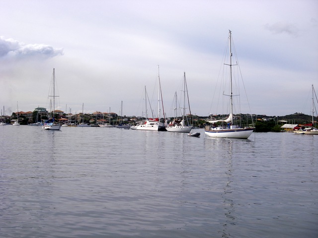 IMGP0873