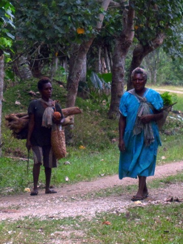 les femmes reviennent des champs, chargées de bois et de légumes, la machette à la main, toujours les femmes reviennent des champs, chargées de bois et de légumes, la machette à la main, toujours