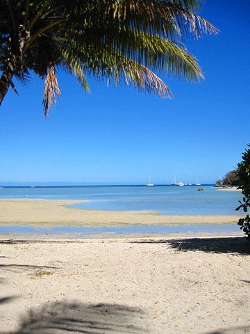 IMG_7984 IMG_7984