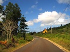 la route... la route…