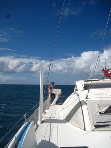 IMG_1271 IMG_1271