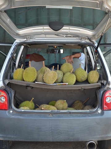 Voiture parfumée aux Durians ONE_1578