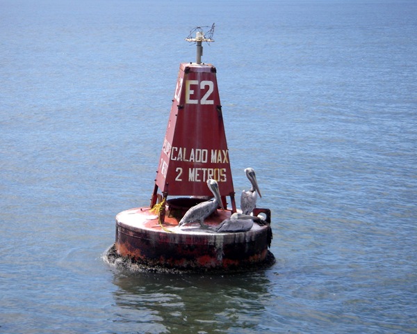 IMGP0966