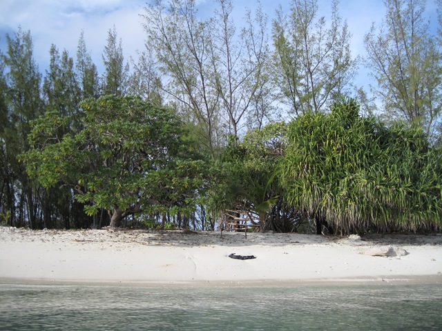 IMG_5156 IMG_5156