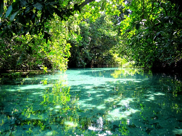 vert et bleu se mélange vert et bleu se mélange