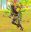 Vanuatu danse Photo internet Vanuatu danse Photo internet