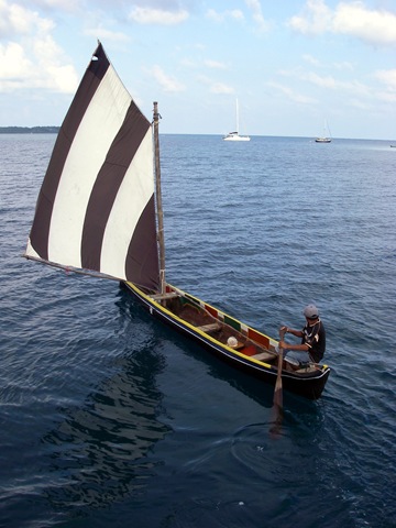 IMGP1884
