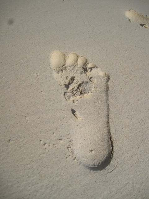 Empreinte solitaire de nos pieds IMG_1194